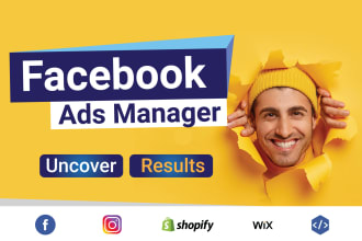 manage fb ads manager to run facebook ads campaign