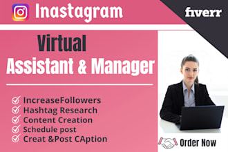 be a virtual assistant and instagram account manager