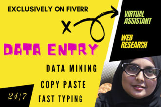 provide highest quality data entry in low price