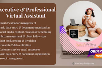 executive virtual assistant for admin and scheduling tasks