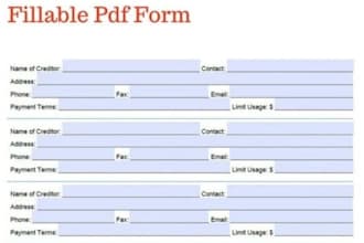 create fillable PDF form in 24hours