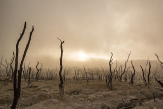 write you a thriller, horror or apocalyptic story