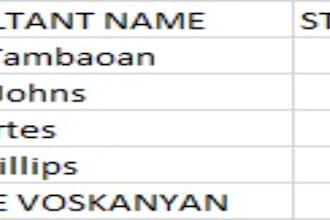transcription, data entry, translation