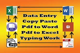 do perfect data entry, web research and copy paste