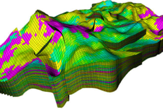 perform petroleum and reservoir engineering consultancy