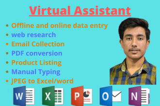 be your virtual assistant for data entry, email collection and web research