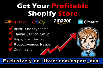 build you a successful dropshipping store or shopify website