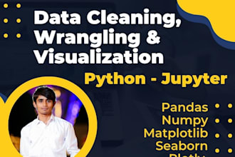 clean and analyze data using python libraries