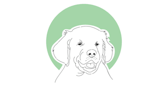 draw simple pet line art in 24 hours