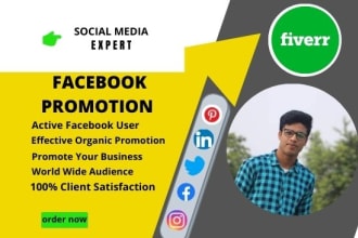 do organic facebook promotion and business 50,00,000 audience