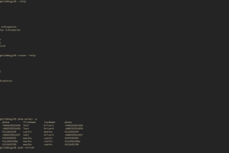 build your command line application in rust