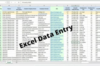 do data entry, web scrapping, email list, data mining