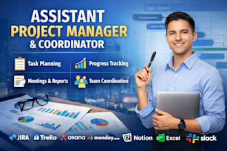 be project assistant, project coordinator, clickup expert