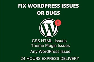 customize wordpress, theme, fix wp error, template, CSS, jquery, plugins