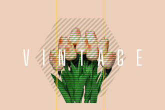 create catchy infographics and amazing posters