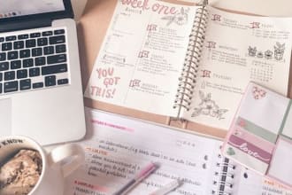 setup an lms using wordpress do an lms where you can teach