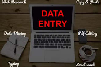 do data entry and scraping in one day