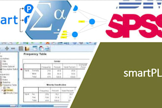 do spss, smartpls and excel analysis