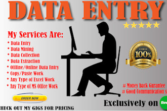 do data entry, web research, data collection, copy paste work