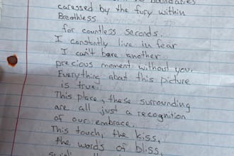 write an original piece in my perspective
