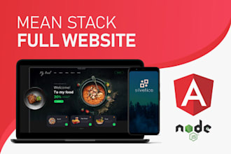 develop a professional web app using mean stack