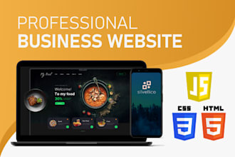 develop a professional business website