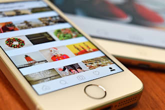 manage your instagram twitter and facebook accounts