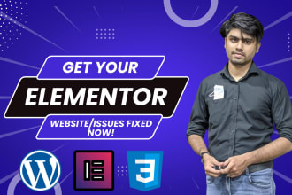 create, edit a wordpress website with elementor pro and CSS