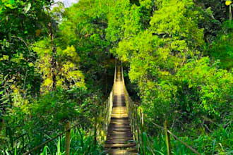 send nature beauty photos supper fast