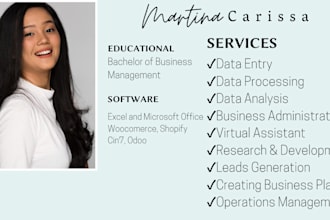 do virtual assistance, data processing and analysis