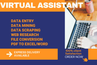 find email lists address, mining, scraping, excel data entry, pdf to word excel
