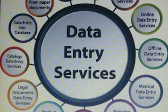 do data entry analysis