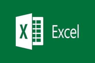 perform excel data entry, web scraping and etl