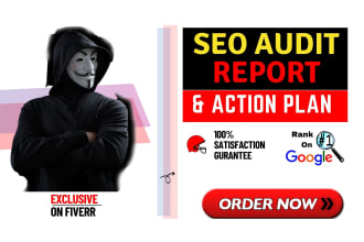 provide professional SEO audit report and action plan