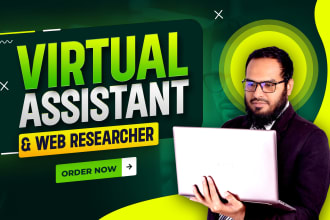 do web research, virtual assistant, data entry, copy paste work