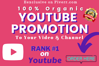 do best organic youtube video promotion and channel promotion
