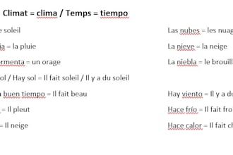 translate texts or audios into french