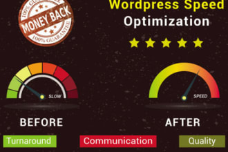 do speed optimization wordpress for google pagespeed insight
