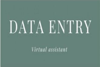 do data entry professionally, copy pasting, virtual assistant for data entry,