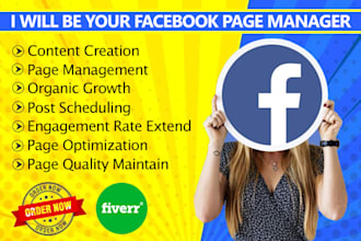 be your facebook page manager and content creator