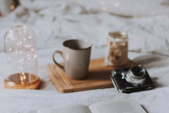 write a compelling book blurb
