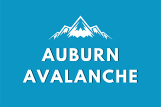 design a professional logo in 24 hours