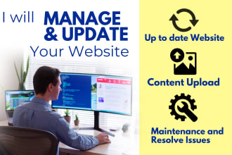 manage, wordpress website maintenance as pro website manager