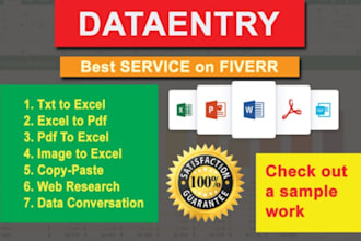 do expert excel data entry, cleaning, and formatting tasks