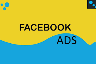 be your expert facebook ads campaign manager, fb advertising and marketing