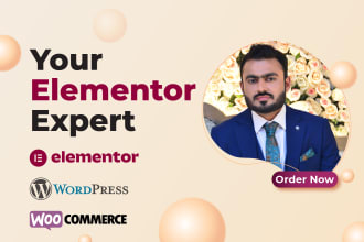 be your elementor expert for elementor website