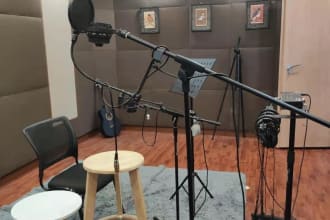 record a professional chinese mandarin female voice over 19