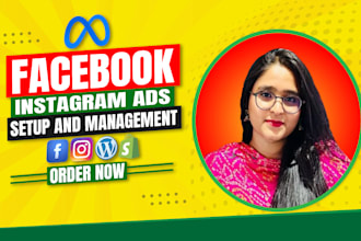 set up facebook ads campaign, run fb ads for leads and sales