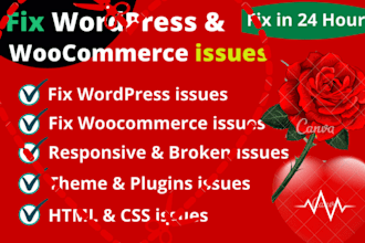fix your word press website issue