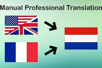 translate your english or french text to dutch